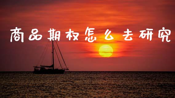 商品期权怎么去研究_https://m.jnlaobingbanjia.com_理财规划_第1张