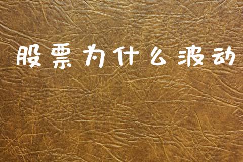 股票为什么波动_https://m.jnlaobingbanjia.com_金融监管_第1张