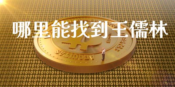 哪里能找到王儒林_https://m.jnlaobingbanjia.com_金融监管_第1张