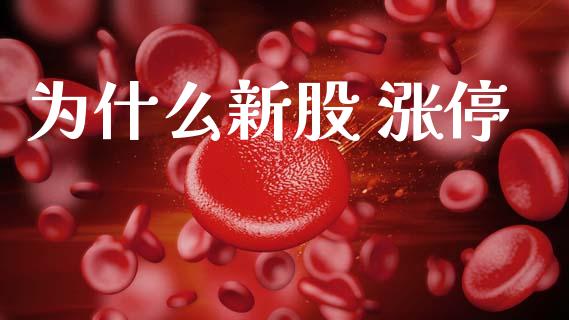 为什么新股 涨停_https://m.jnlaobingbanjia.com_股市新闻_第1张
