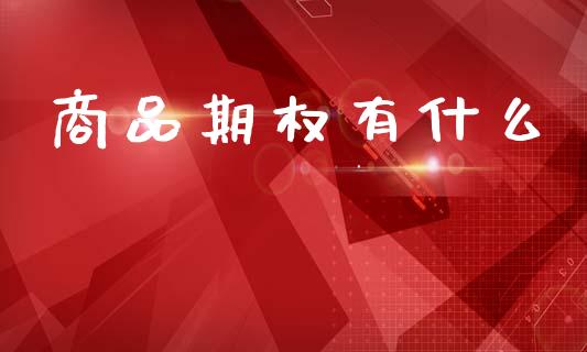 商品期权有什么_https://m.jnlaobingbanjia.com_区块链_第1张