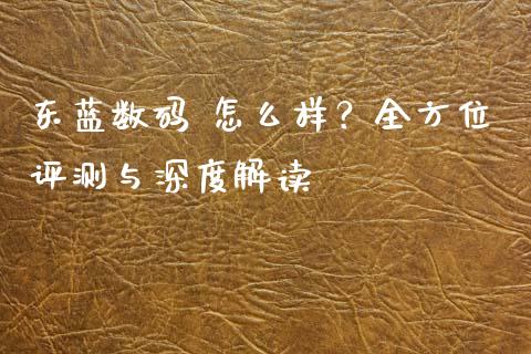东蓝数码 怎么样？全方位评测与深度解读_https://m.jnlaobingbanjia.com_理财规划_第1张