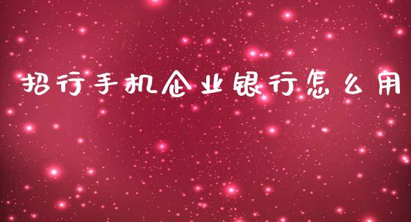 招行手机企业银行怎么用_https://m.jnlaobingbanjia.com_理财规划_第1张