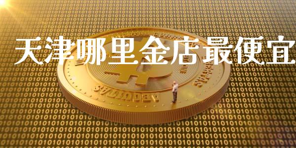 天津哪里金店最便宜_https://m.jnlaobingbanjia.com_基金市场_第1张
