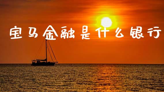 宝马金融是什么银行_https://m.jnlaobingbanjia.com_全球市场_第1张