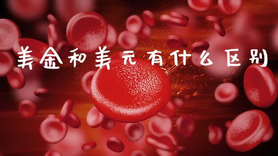 美金和美元有什么区别_https://m.jnlaobingbanjia.com_全球市场_第1张