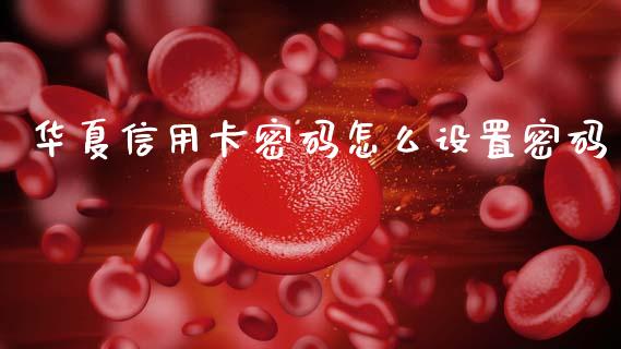 华夏信用卡密码怎么设置密码_https://m.jnlaobingbanjia.com_金融监管_第1张