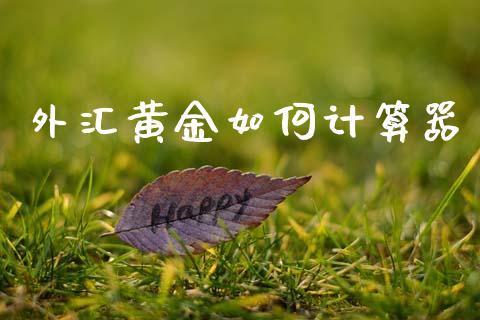 外汇黄金如何计算器_https://m.jnlaobingbanjia.com_股市新闻_第1张