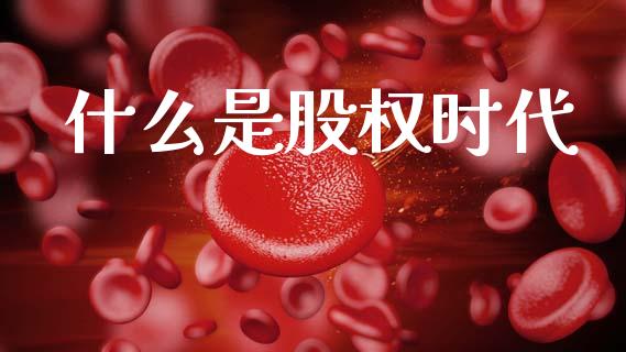什么是股权时代_https://m.jnlaobingbanjia.com_金融监管_第1张