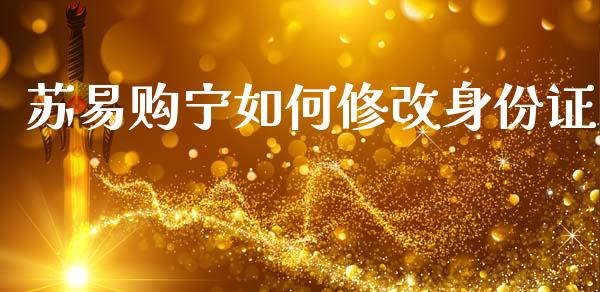 苏易购宁如何修改身份证_https://m.jnlaobingbanjia.com_理财规划_第1张