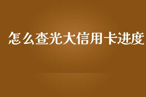 怎么查光大信用卡进度_https://m.jnlaobingbanjia.com_金融监管_第1张