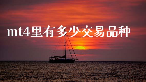 mt4里有多少交易品种_https://m.jnlaobingbanjia.com_金融监管_第1张