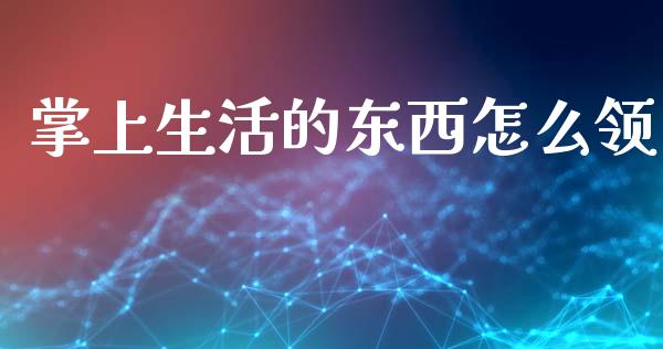 掌上生活的东西怎么领_https://m.jnlaobingbanjia.com_区块链_第1张