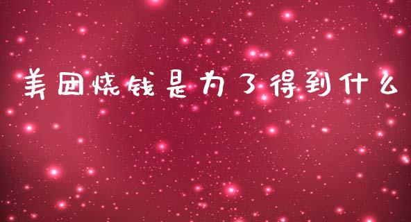 美团烧钱是为了得到什么_https://m.jnlaobingbanjia.com_区块链_第1张