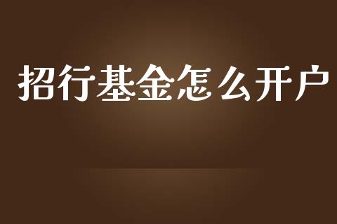 招行基金怎么开户_https://m.jnlaobingbanjia.com_基金市场_第1张