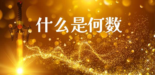 什么是何数_https://m.jnlaobingbanjia.com_全球市场_第1张