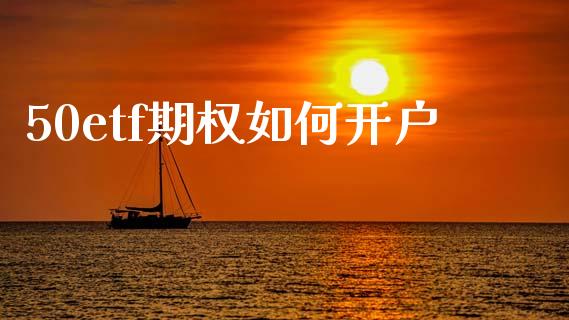 50etf期权如何开户_https://m.jnlaobingbanjia.com_金融监管_第1张