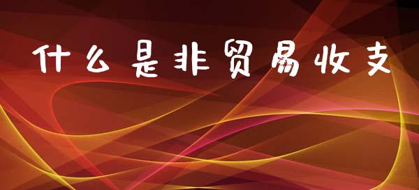 什么是非贸易收支_https://m.jnlaobingbanjia.com_基金市场_第1张