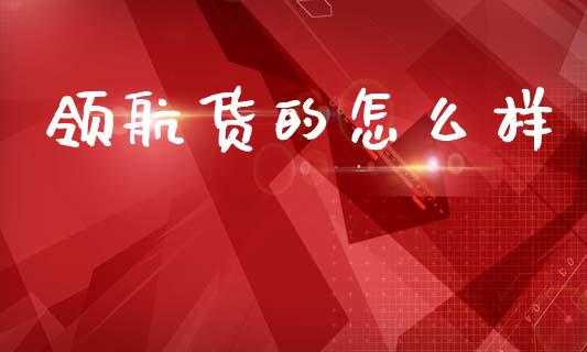领航货的怎么样_https://m.jnlaobingbanjia.com_金融监管_第1张