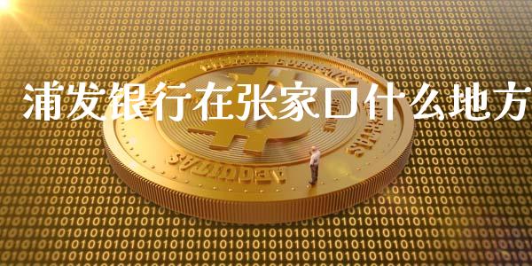 浦发银行在张家口什么地方_https://m.jnlaobingbanjia.com_基金市场_第1张
