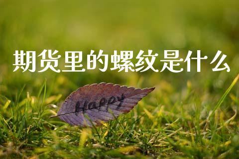期货里的螺纹是什么_https://m.jnlaobingbanjia.com_区块链_第1张