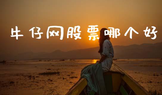 牛仔网股票哪个好_https://m.jnlaobingbanjia.com_金融监管_第1张