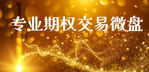 专业期权交易微盘_https://m.jnlaobingbanjia.com_区块链_第1张