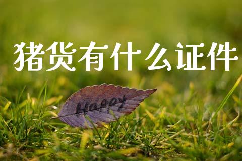 猪货有什么证件_https://m.jnlaobingbanjia.com_理财规划_第1张