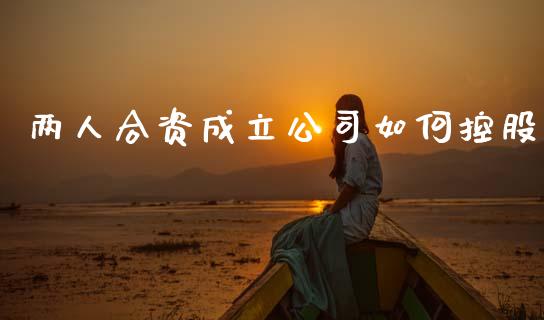 两人合资成立公司如何控股_https://m.jnlaobingbanjia.com_理财规划_第1张