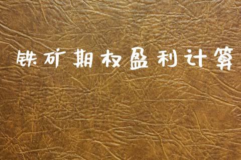 铁矿期权盈利计算_https://m.jnlaobingbanjia.com_全球市场_第1张