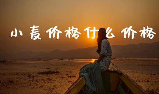 小麦价格什么价格_https://m.jnlaobingbanjia.com_基金市场_第1张