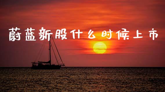 蔚蓝新股什么时候上市_https://m.jnlaobingbanjia.com_基金市场_第1张