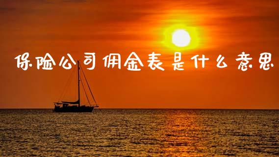 保险公司佣金表是什么意思_https://m.jnlaobingbanjia.com_股市新闻_第1张