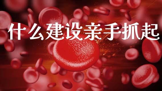 什么建设亲手抓起_https://m.jnlaobingbanjia.com_金融监管_第1张