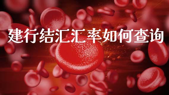 建行结汇汇率如何查询_https://m.jnlaobingbanjia.com_基金市场_第1张