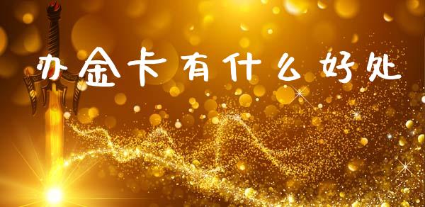 办金卡有什么好处_https://m.jnlaobingbanjia.com_金融监管_第1张