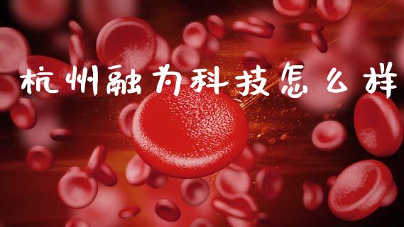杭州融为科技怎么样_https://m.jnlaobingbanjia.com_股市新闻_第1张