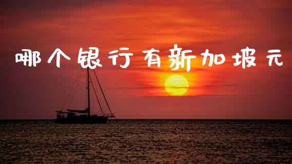 哪个银行有新加坡元_https://m.jnlaobingbanjia.com_理财规划_第1张