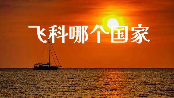 飞科哪个国家_https://m.jnlaobingbanjia.com_股市新闻_第1张