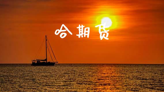 哈期货_https://m.jnlaobingbanjia.com_股市新闻_第1张