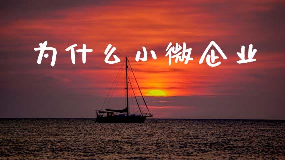 为什么小微企业_https://m.jnlaobingbanjia.com_股市新闻_第1张