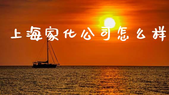 上海家化公司怎么样_https://m.jnlaobingbanjia.com_股市新闻_第1张