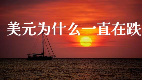 美元为什么一直在跌_https://m.jnlaobingbanjia.com_金融监管_第1张