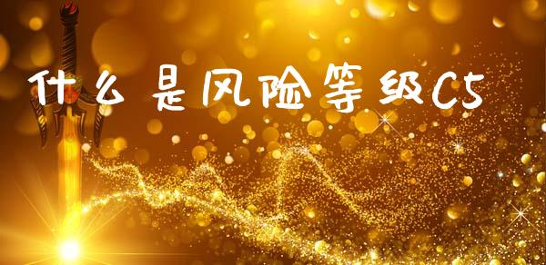什么是风险等级C5_https://m.jnlaobingbanjia.com_股市新闻_第1张
