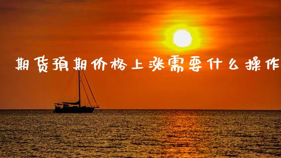 期货预期价格上涨需要什么操作_https://m.jnlaobingbanjia.com_全球市场_第1张