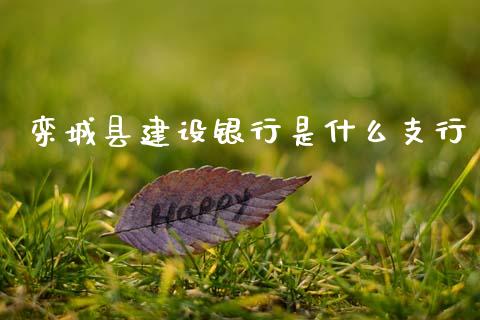栾城县建设银行是什么支行_https://m.jnlaobingbanjia.com_理财规划_第1张
