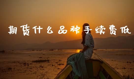 期货什么品种手续费低_https://m.jnlaobingbanjia.com_全球市场_第1张