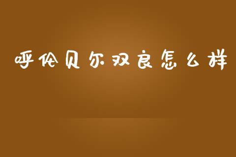 呼伦贝尔双良怎么样_https://m.jnlaobingbanjia.com_金融监管_第1张