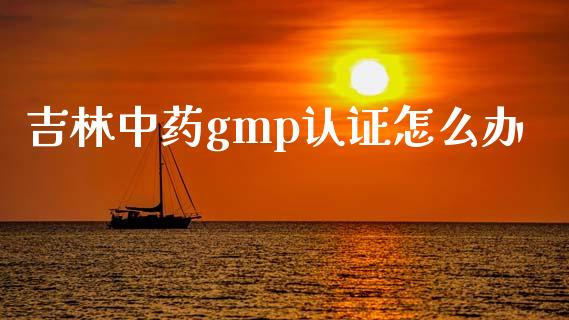 吉林中药gmp认证怎么办_https://m.jnlaobingbanjia.com_基金市场_第1张