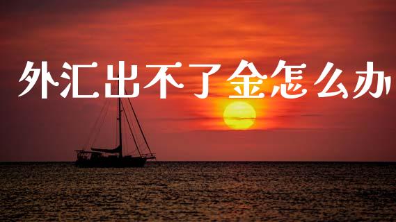 外汇出不了金怎么办_https://m.jnlaobingbanjia.com_全球市场_第1张